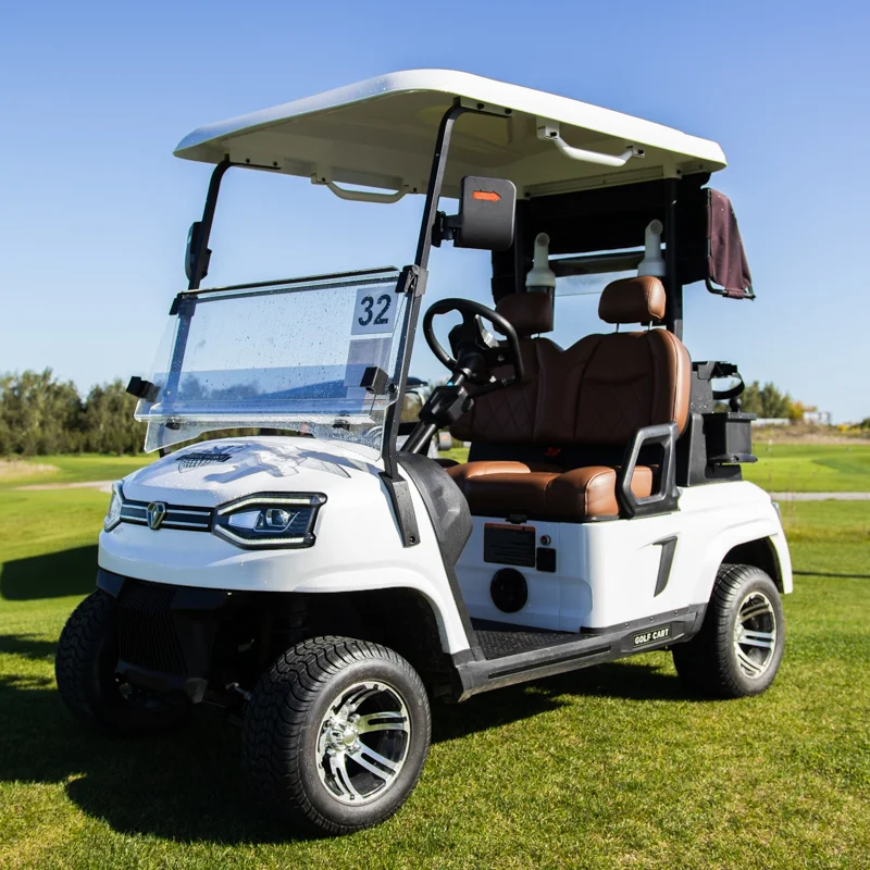 Buggy eléctrico estándar
