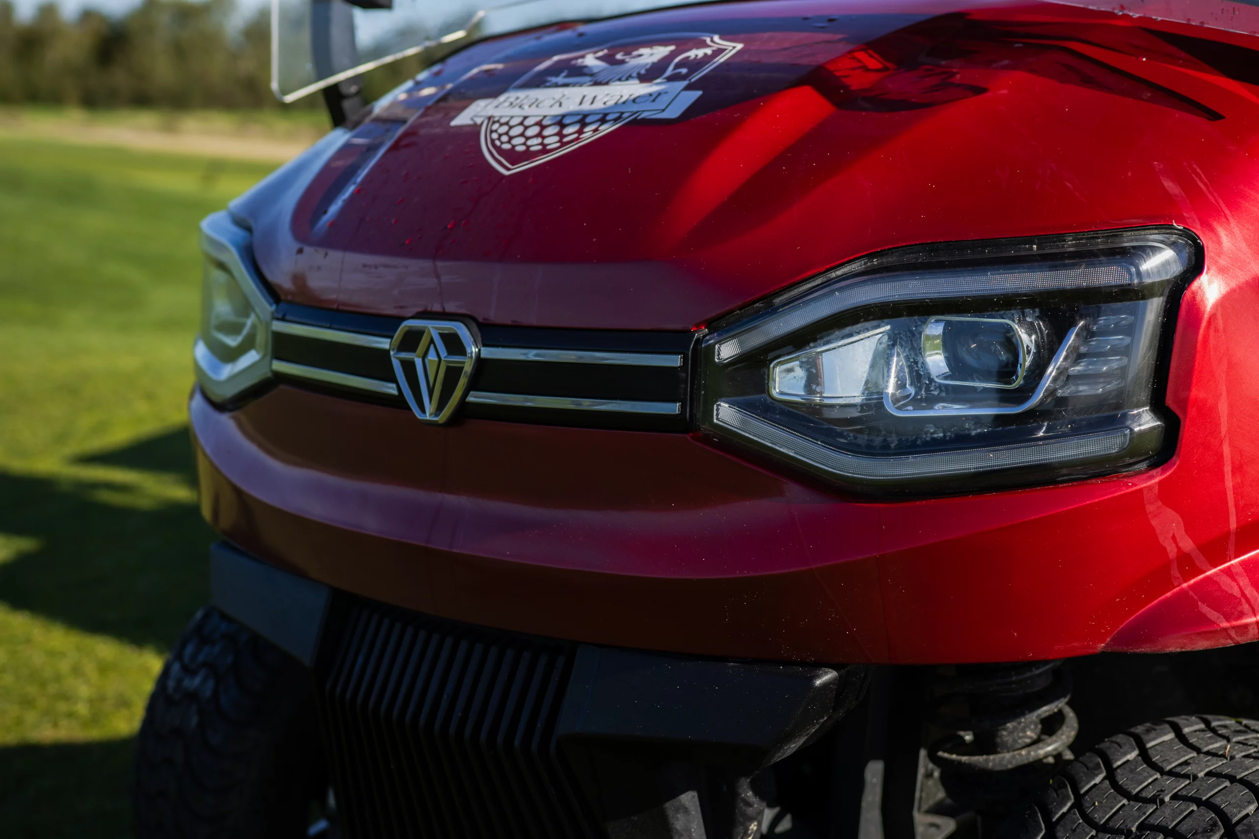 Buggy personalizado